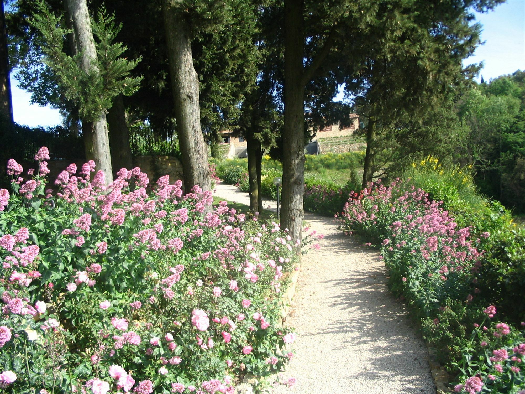 Podere La Casetta - Casa Di Campagna Montaione Exterior foto